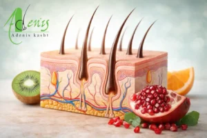 نمای علمی فولیکول مو و تأثیر تغذیه مناسب بعد از کاشت مو بر روند ترمیم